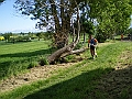 IMGP4446