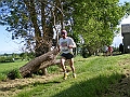 IMGP4451