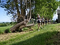 IMGP4458