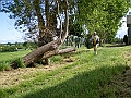 IMGP4466