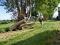 IMGP4467