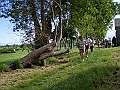 IMGP4485
