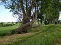 IMGP4489