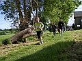 IMGP4517