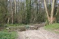 IMG_0071