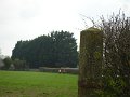 DSC00001