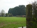 DSC00008