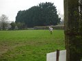 DSC00012