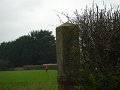 DSC00053
