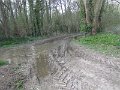 IMG_2829