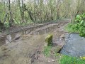 IMG_2830
