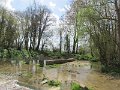 IMG_2832