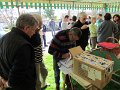 IMG_2843
